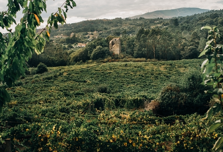 Torre de Fornelos